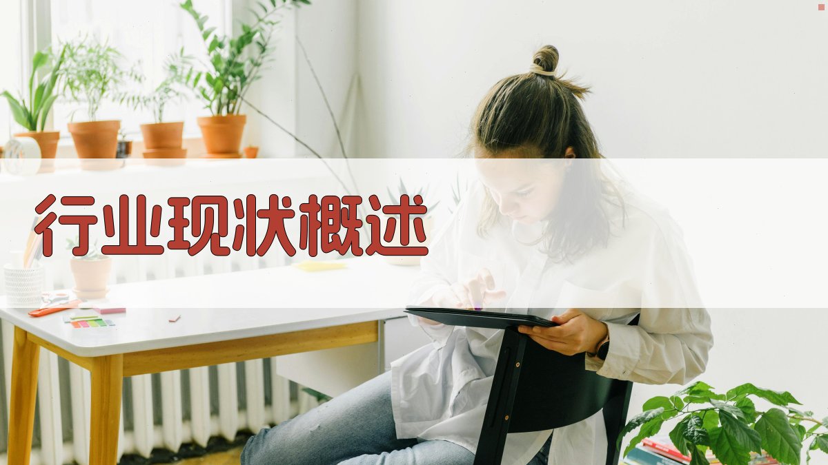 行业现状概述 图1