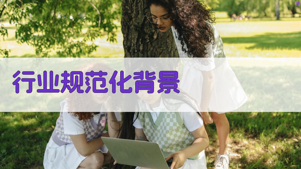 行业规范化背景 图1