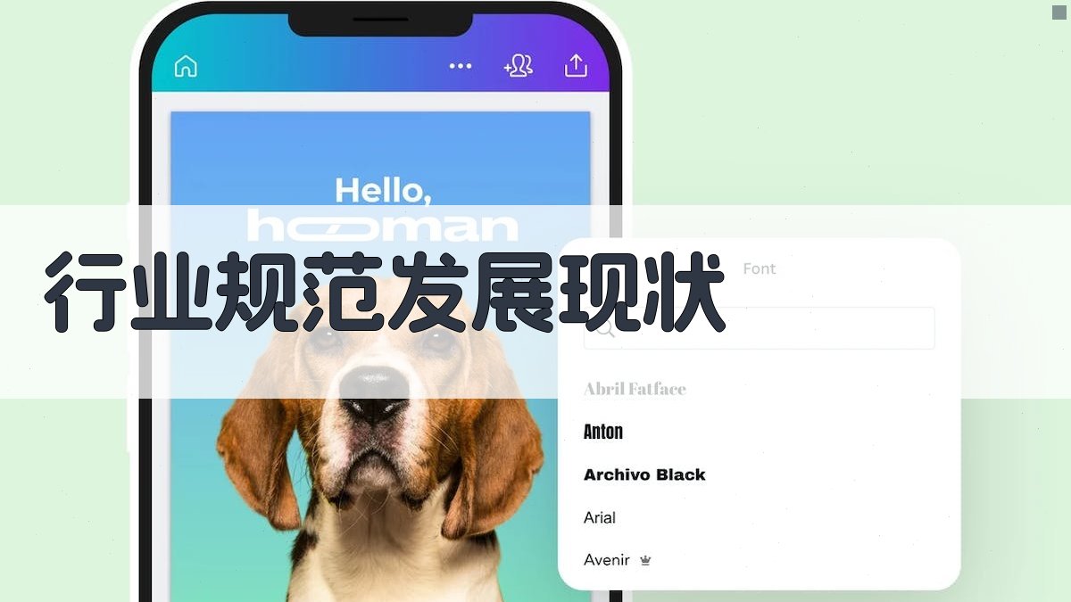 行业规范发展现状 图2