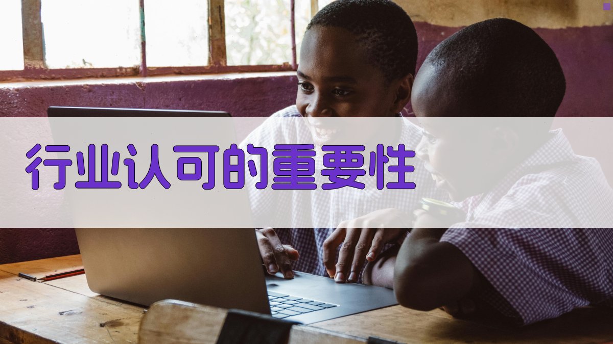 行业认可的重要性 图2