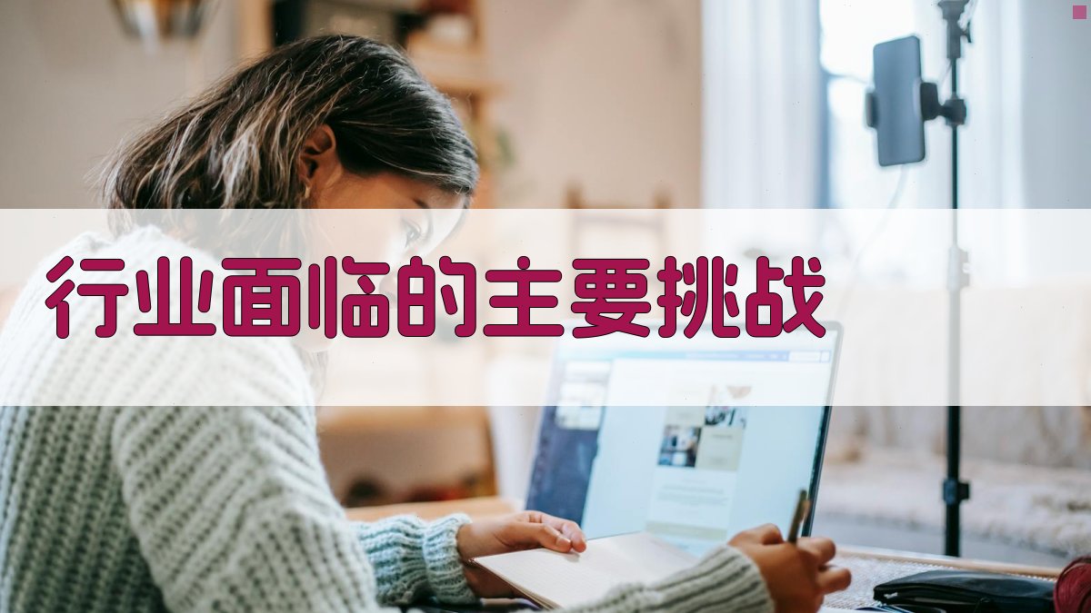 行业面临的主要挑战 图2