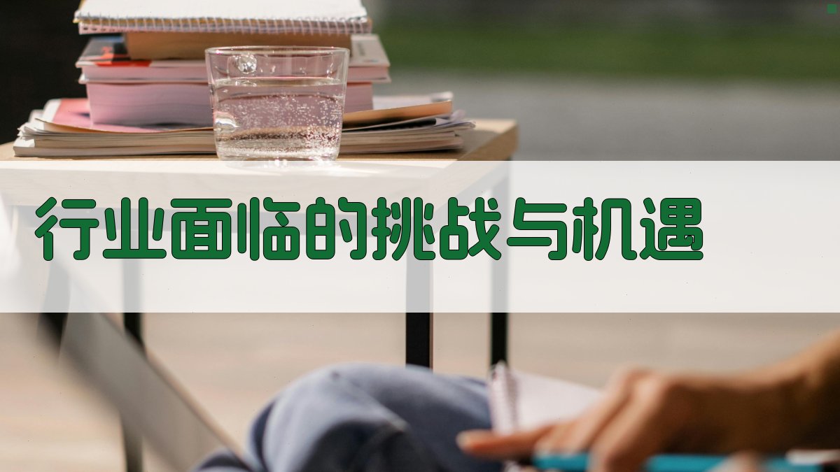 行业面临的挑战与机遇 图2