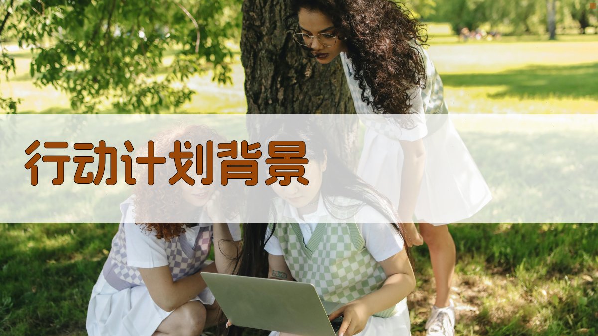 行动计划背景 图1