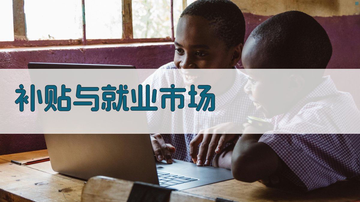 补贴与就业市场 图3
