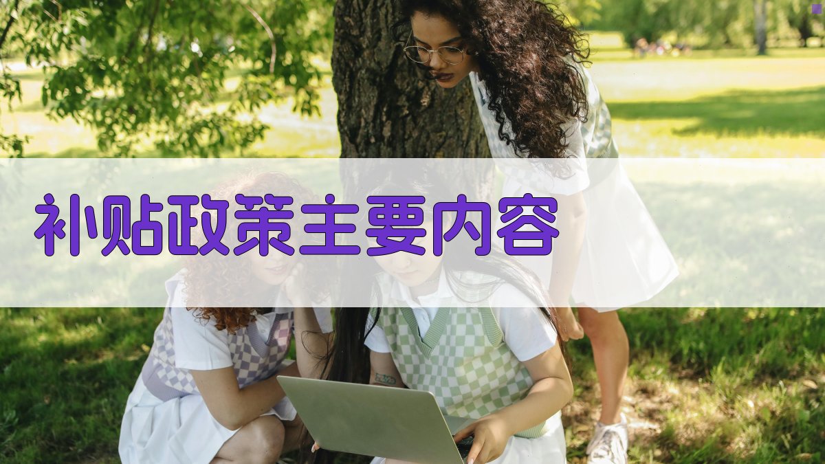 补贴政策主要内容 图2