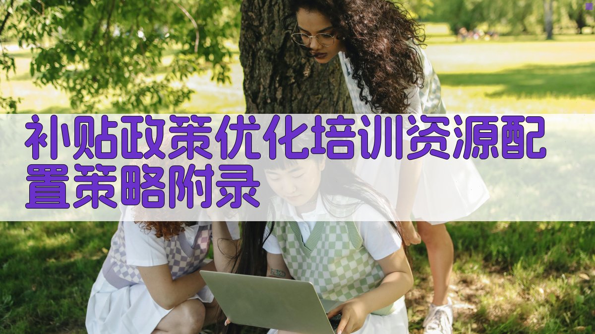 补贴政策优化培训资源配置策略 · 附录 图4
