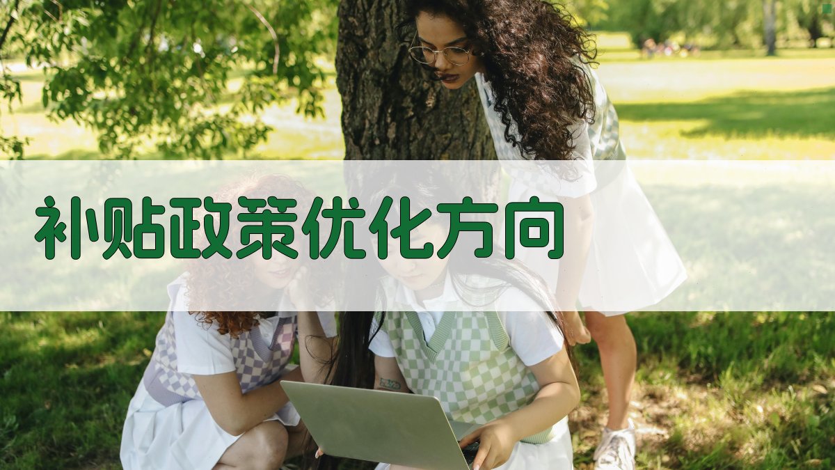 补贴政策优化方向 图1