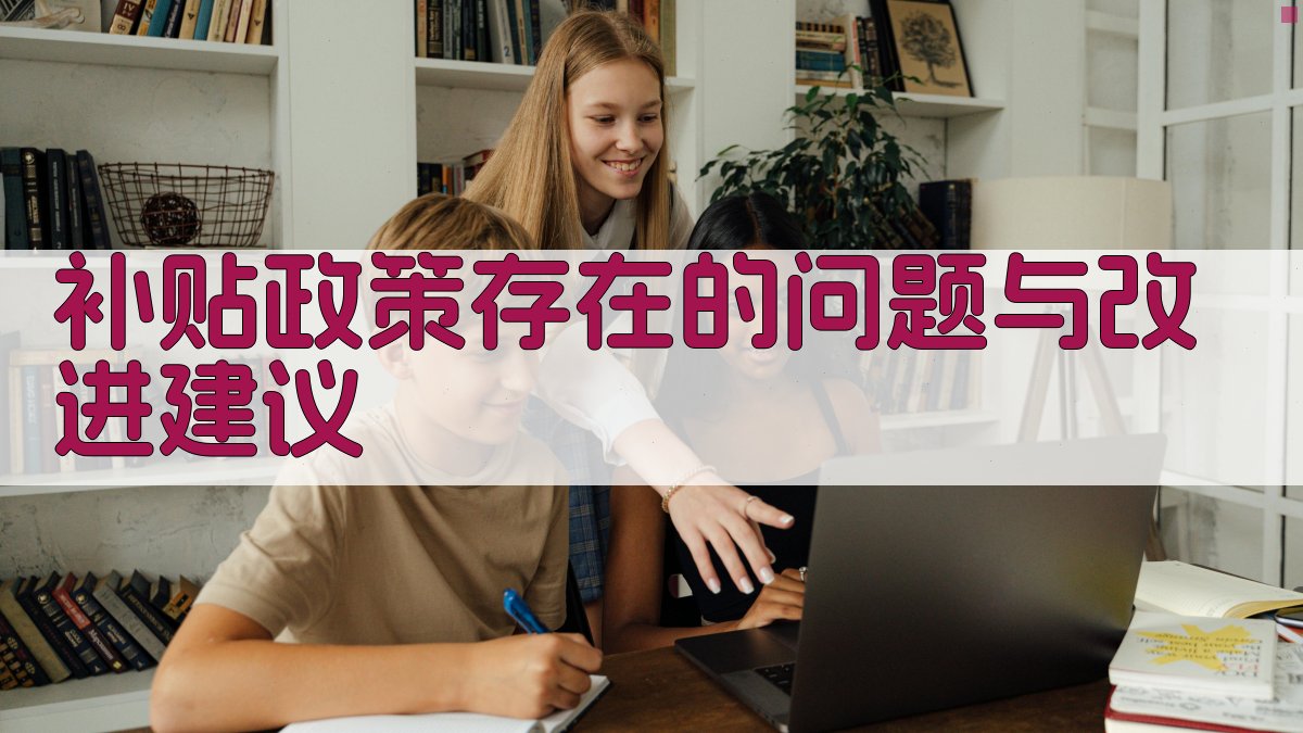 补贴政策存在的问题与改进建议 图3
