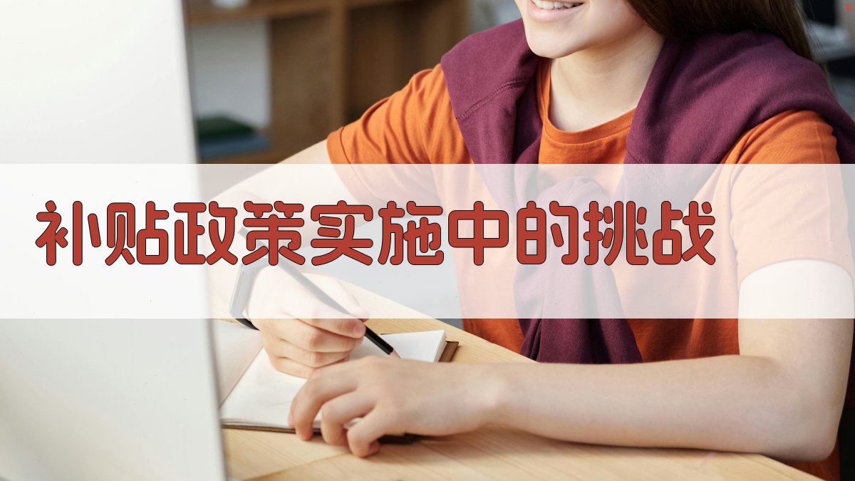 补贴政策实施中的挑战 图2