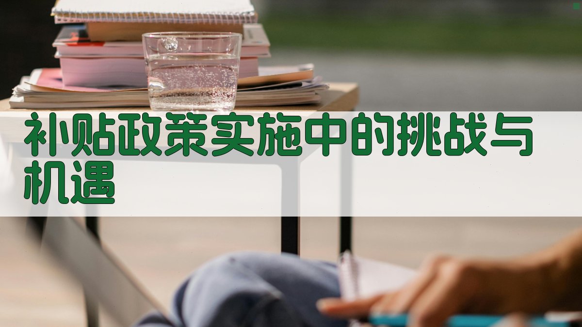 补贴政策实施中的挑战与机遇 图3
