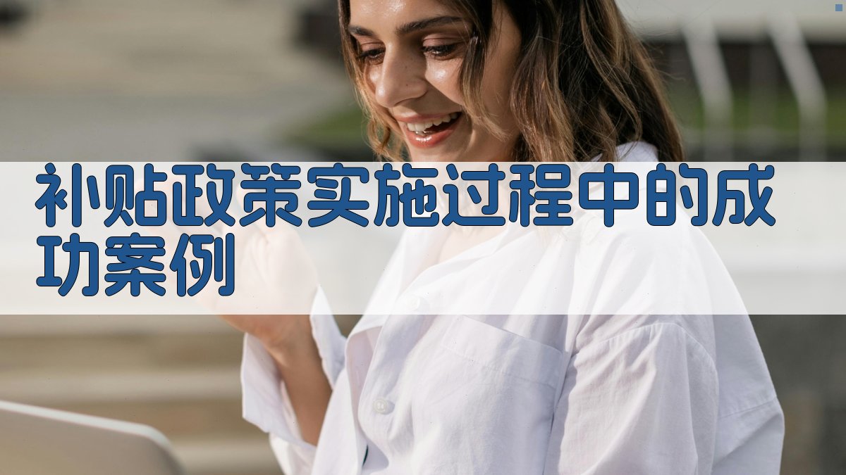 补贴政策实施过程中的成功案例 图3