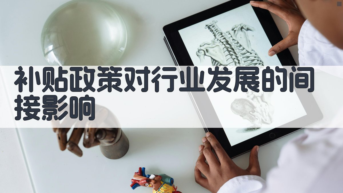补贴政策对行业发展的间接影响 图2