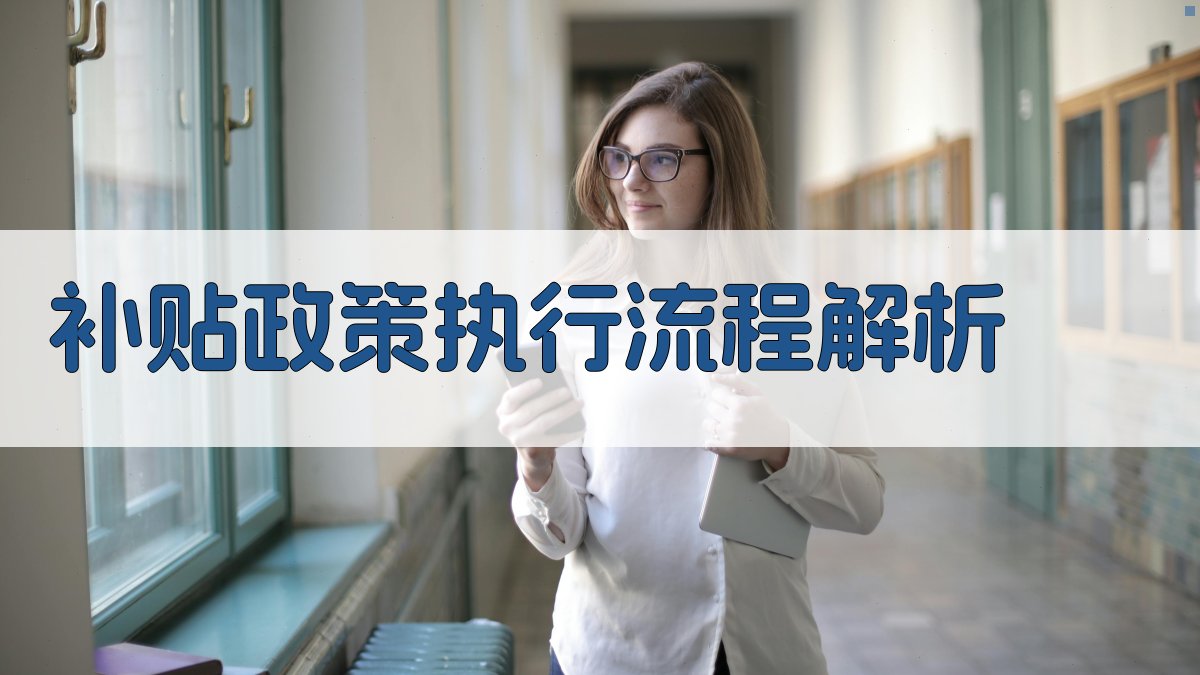 补贴政策执行流程解析 图2