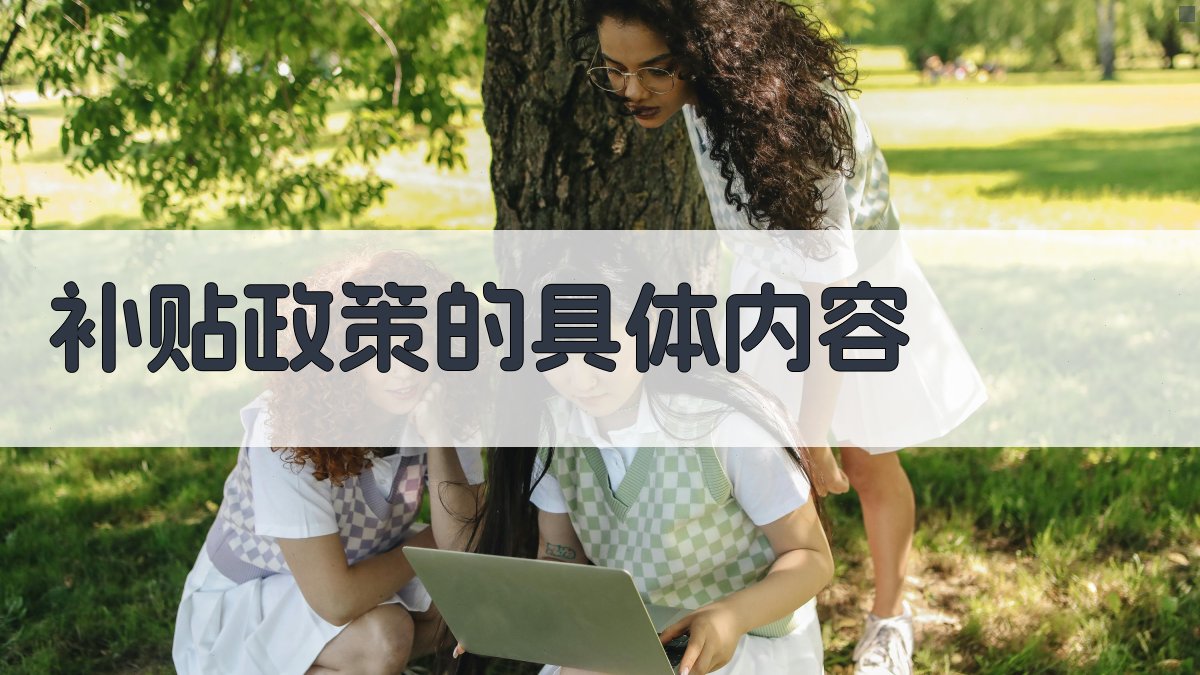 补贴政策的具体内容 图2