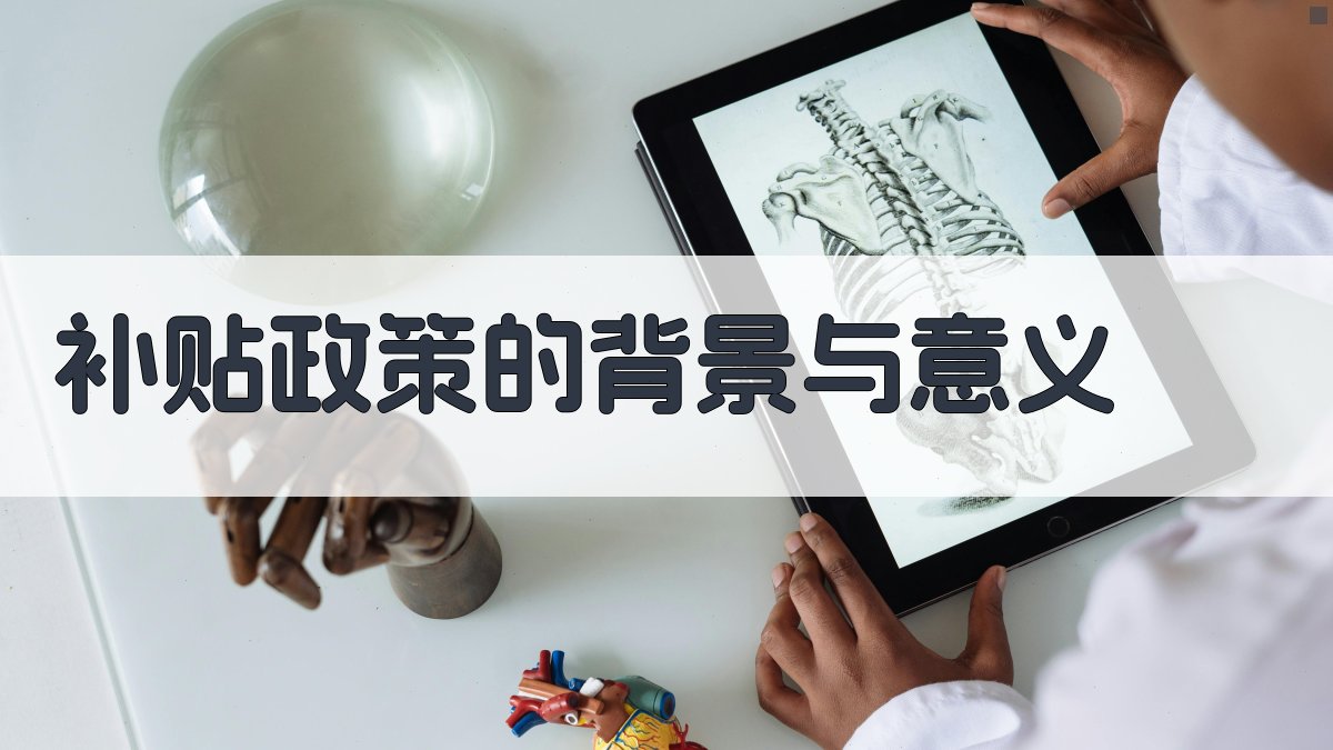 补贴政策的背景与意义 图1