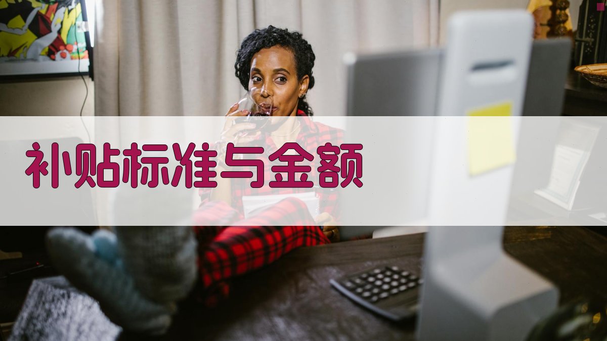 补贴标准与金额 图2