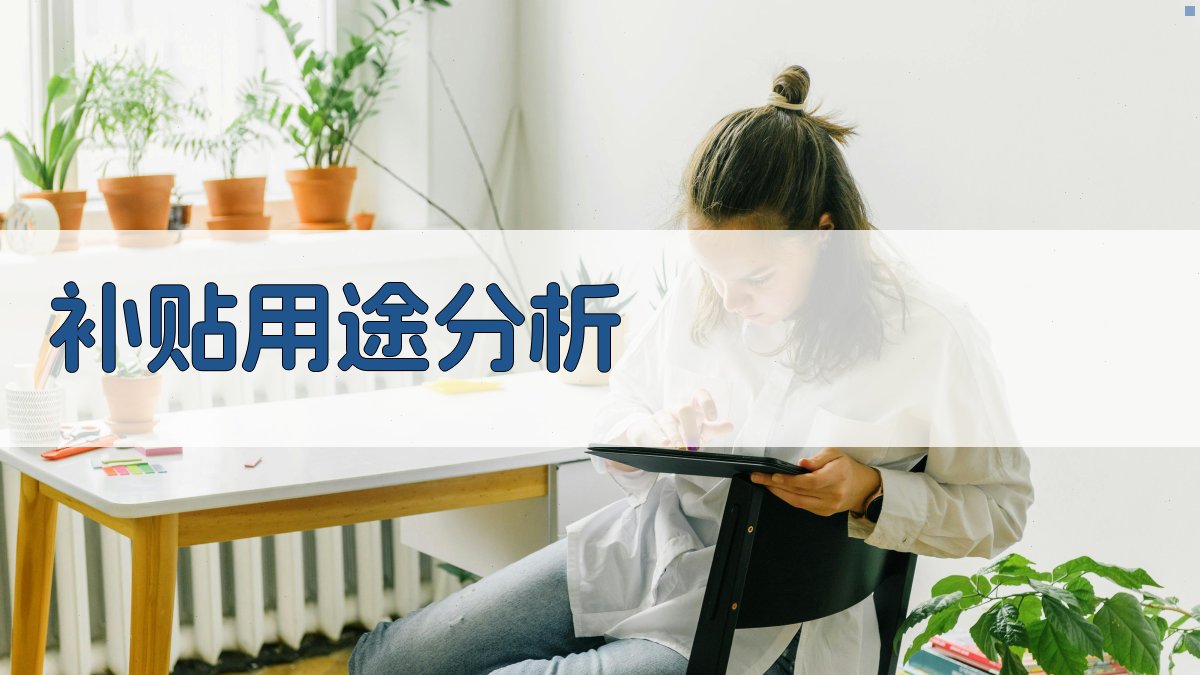 补贴用途分析 图3