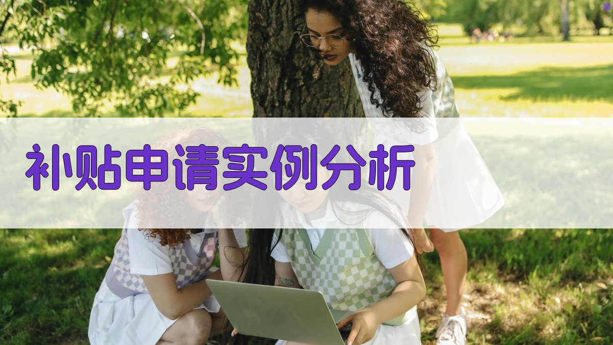 补贴申请实例分析 图4