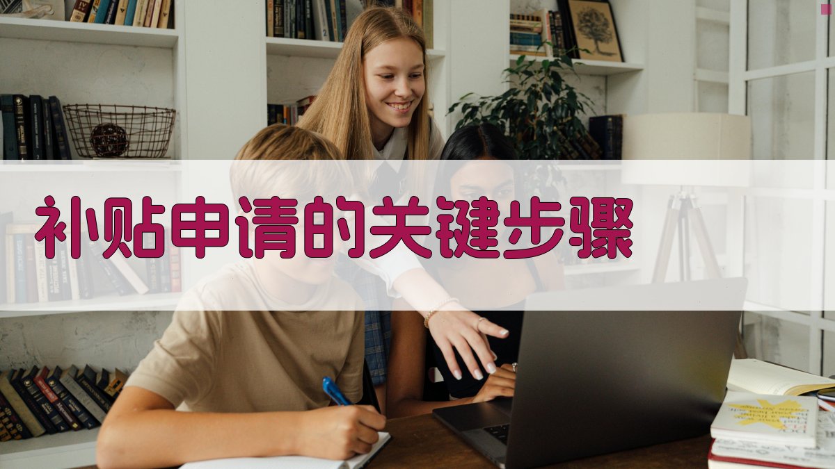 补贴申请的关键步骤 图2