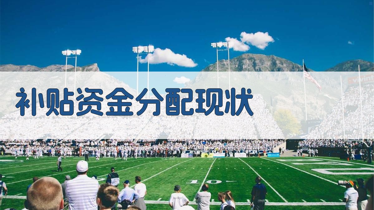 补贴资金分配现状 图1
