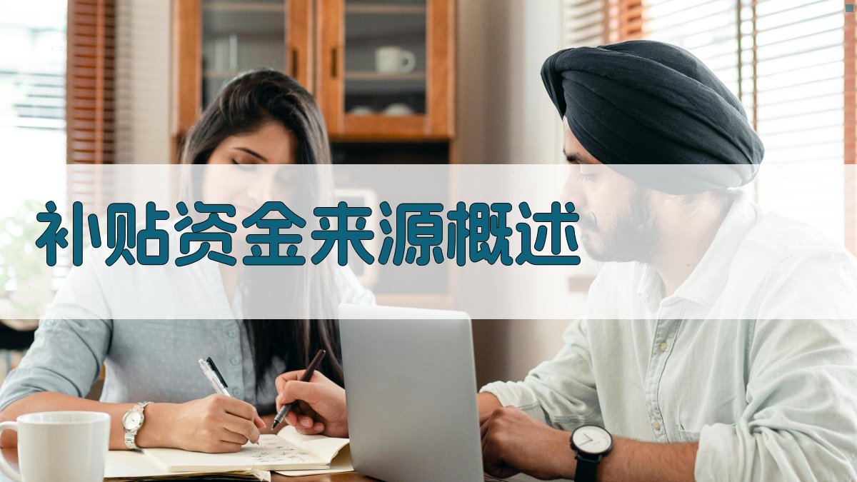 补贴资金来源概述 图1