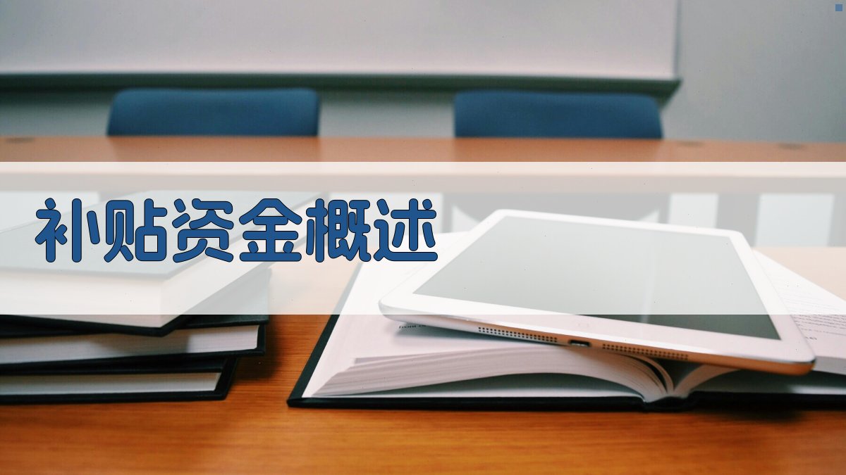 补贴资金概述 图1