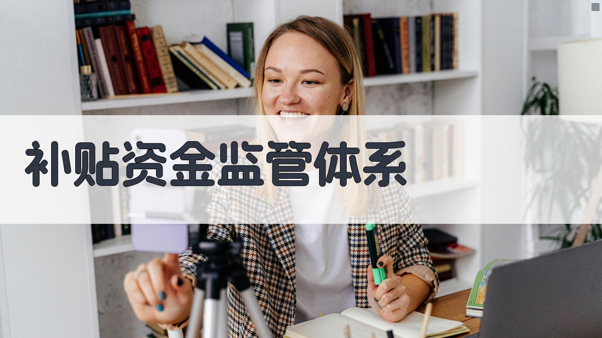 补贴资金监管体系 图2