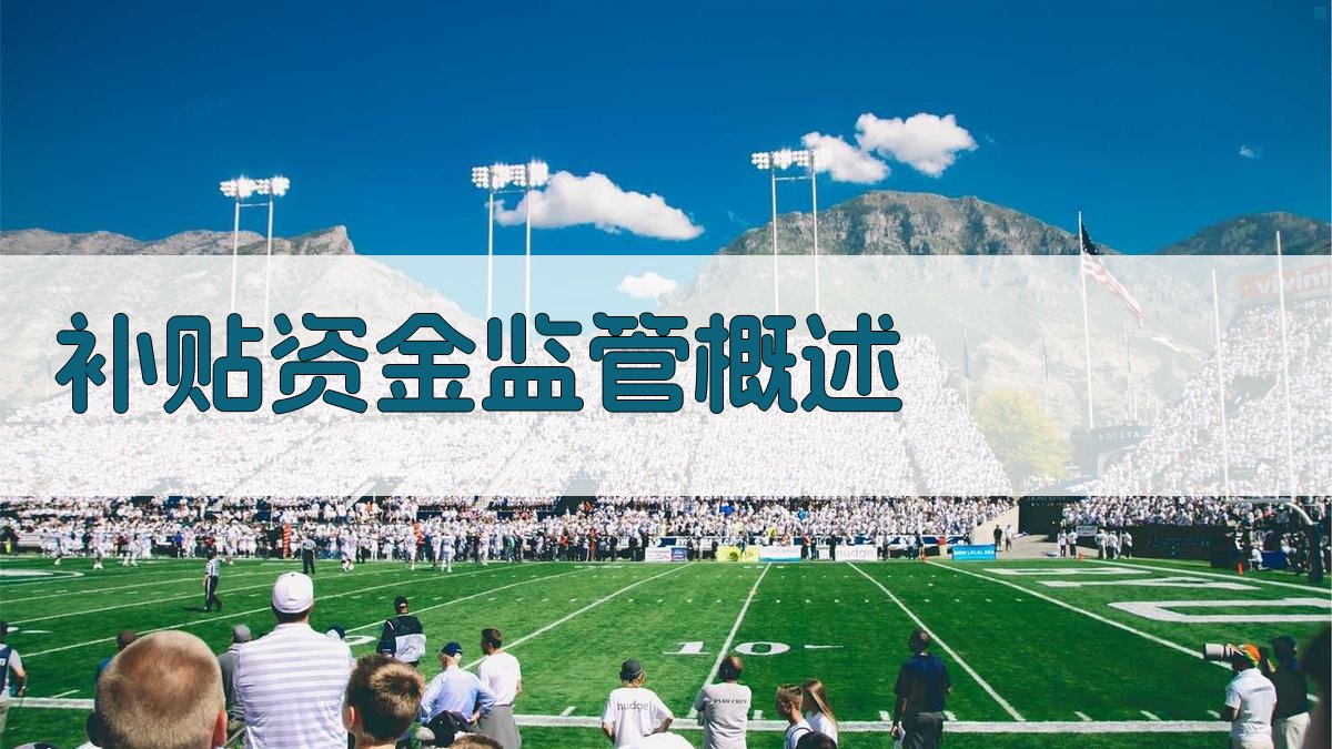 补贴资金监管概述 图1