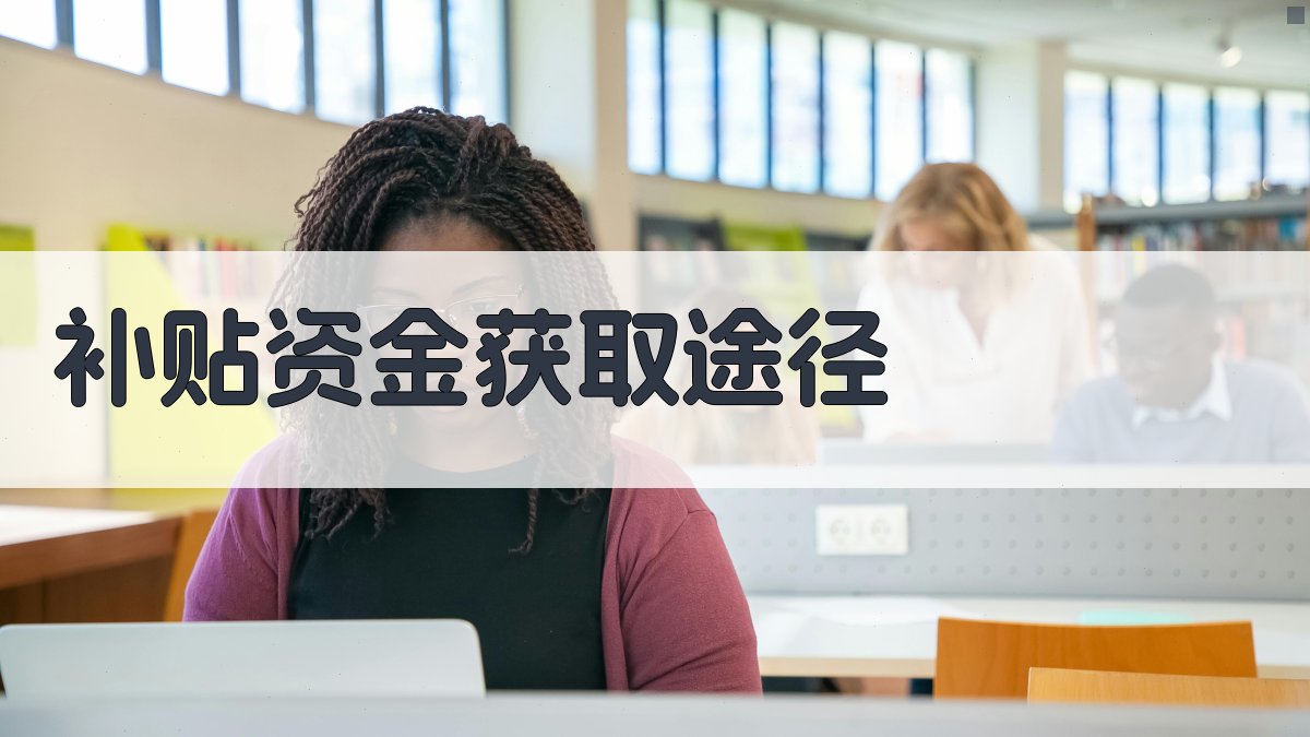 补贴资金获取途径 图2