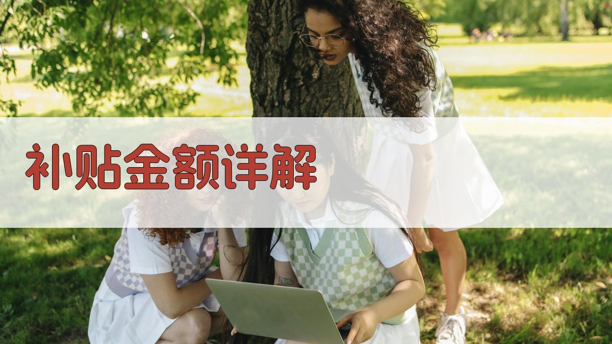 补贴金额详解 图1