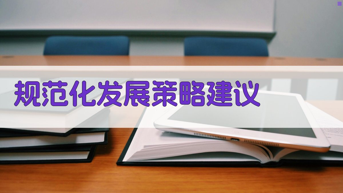 规范化发展策略建议 图3