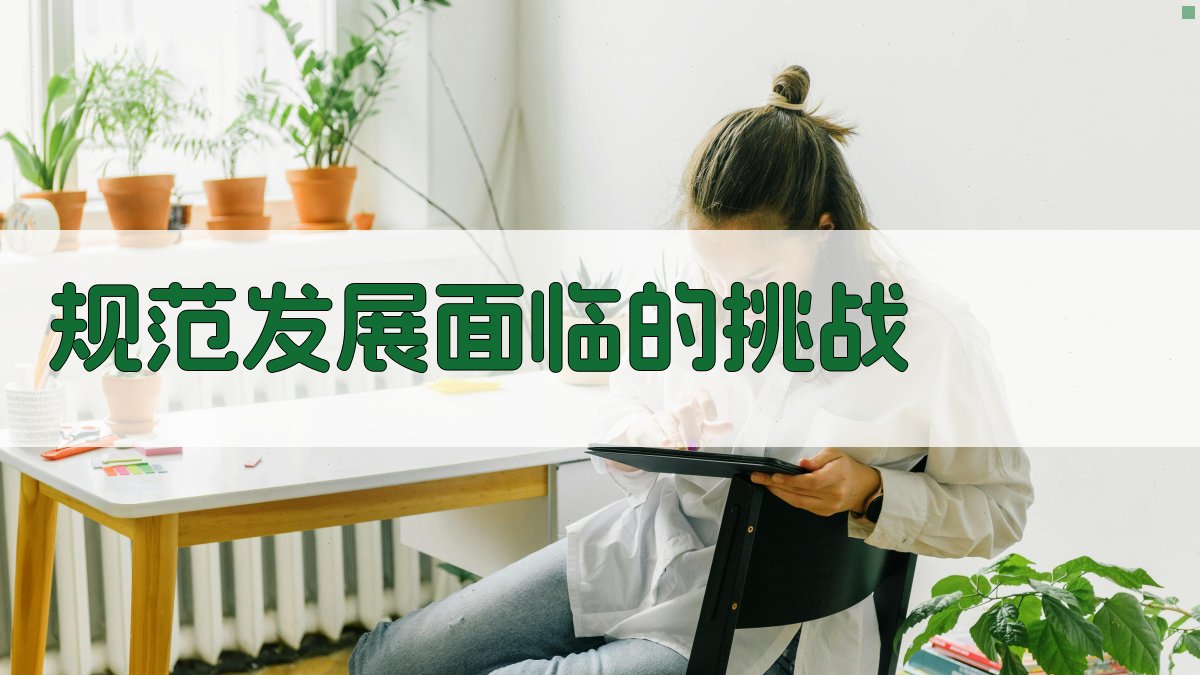 规范发展面临的挑战 图3