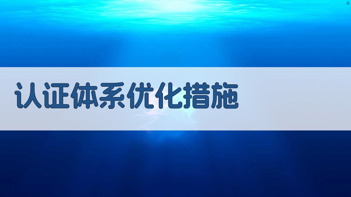 认证体系优化措施 图2