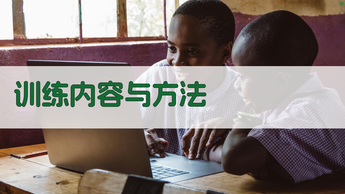 训练内容与方法 图1