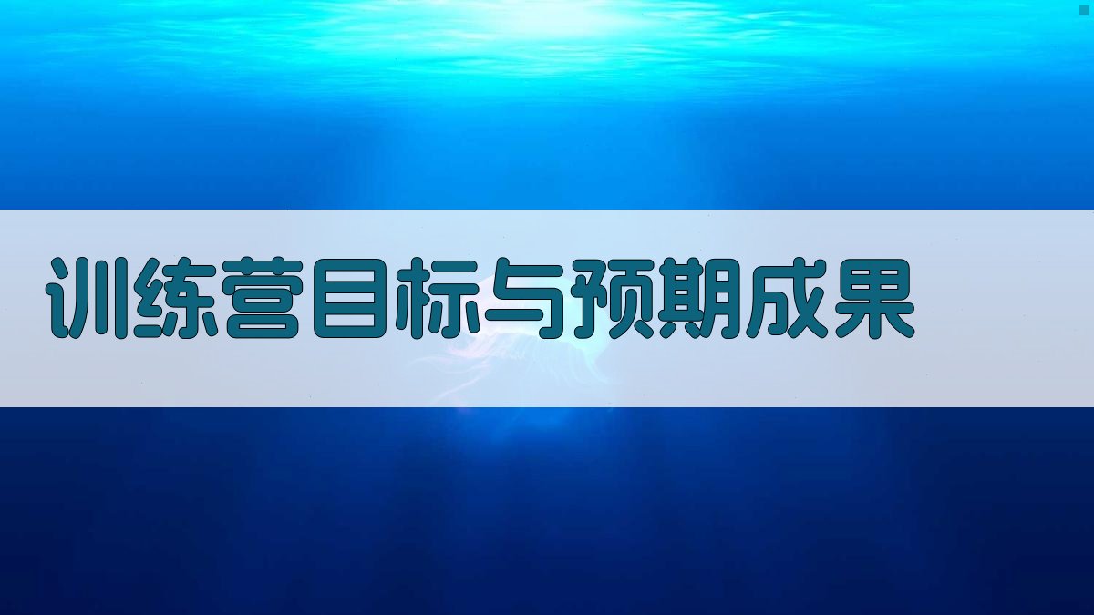 训练营目标与预期成果 图1
