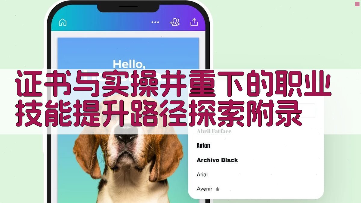 证书与实操并重下的职业技能提升路径探索 · 附录 图3