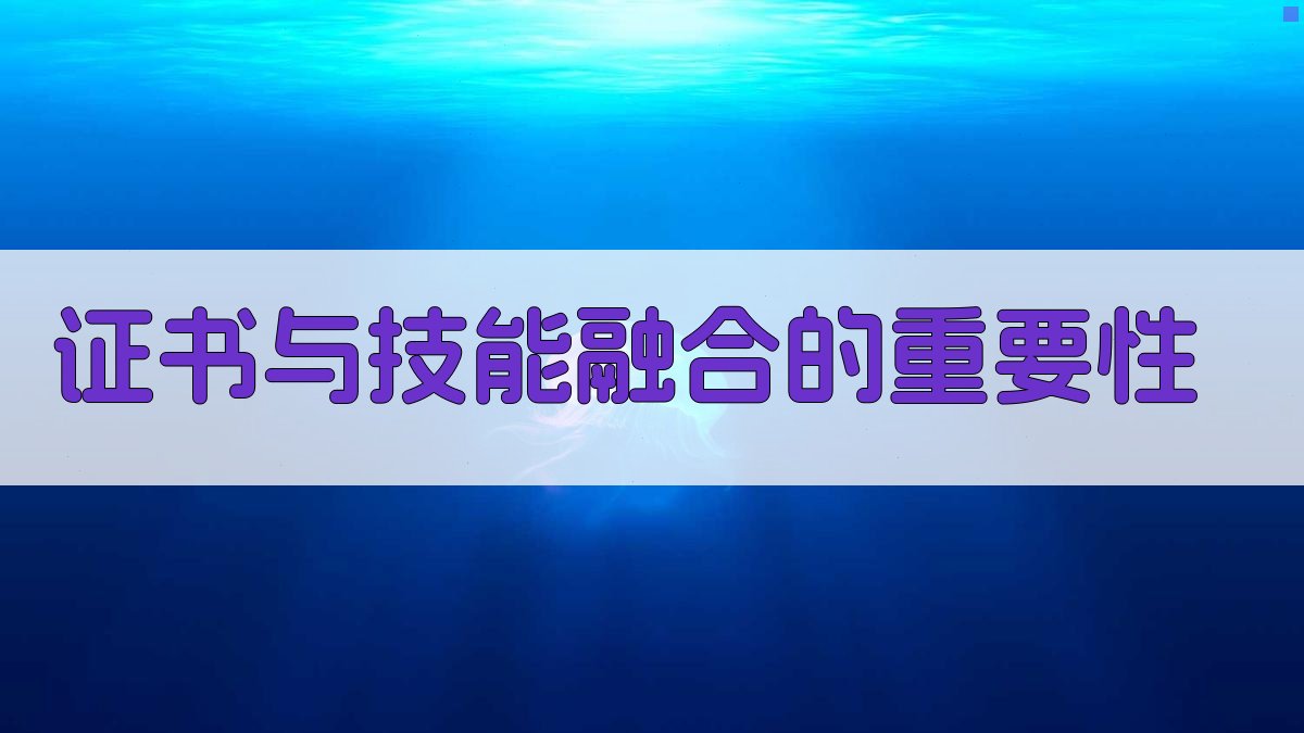 证书与技能融合的重要性 图1