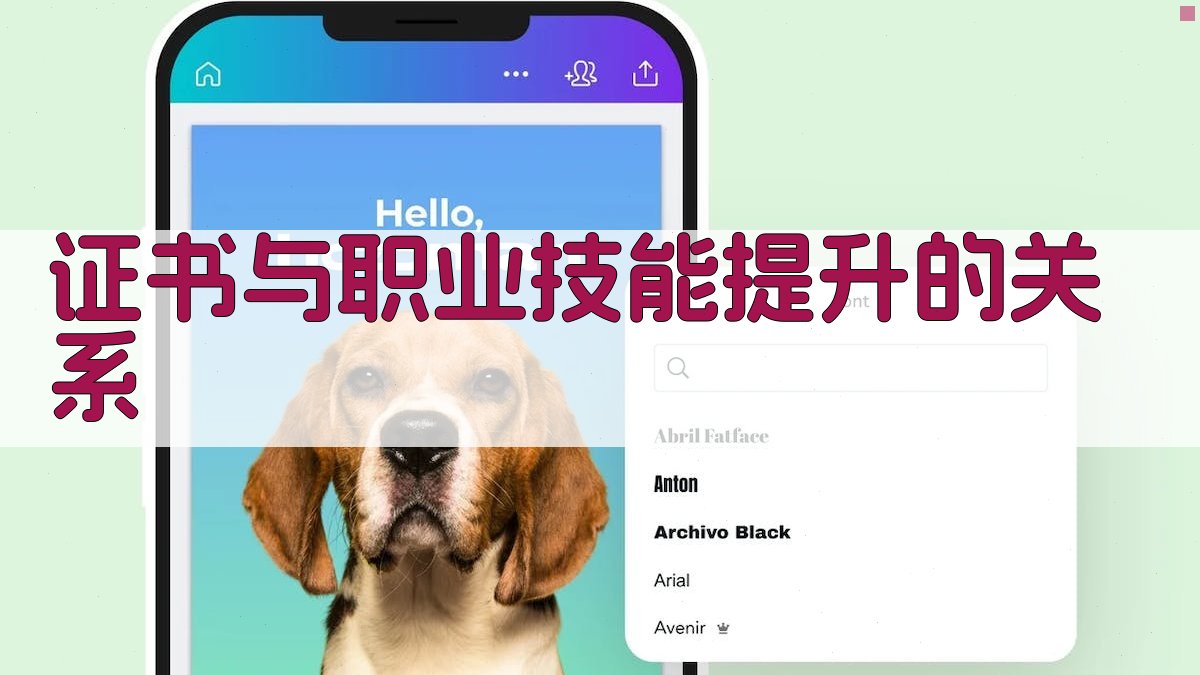 职业技能提升证书背后的职业发展潜力