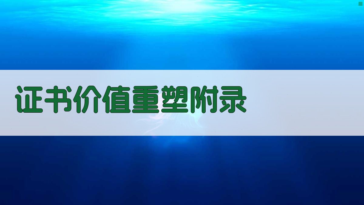 证书价值重塑 · 附录 图2