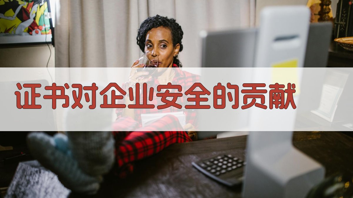 证书对企业安全的贡献 图3