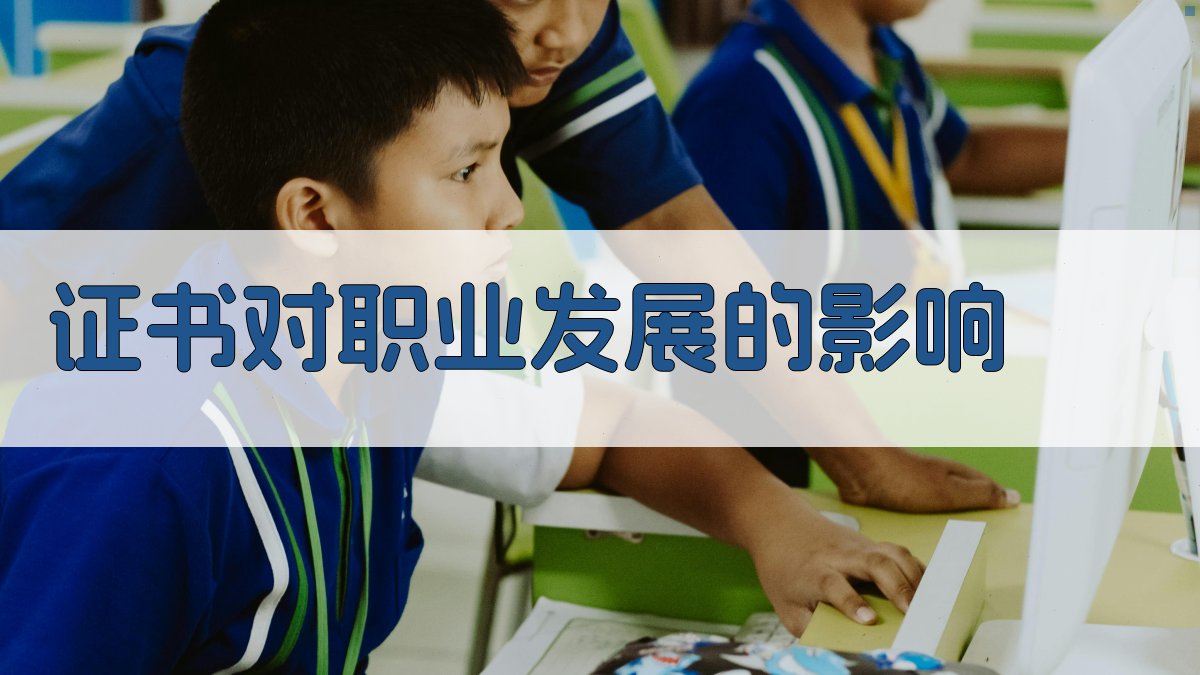 证书对职业发展的影响 图4