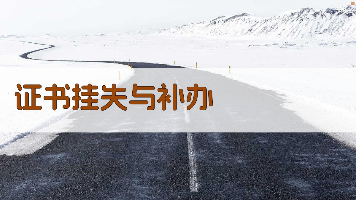 证书挂失与补办 图3