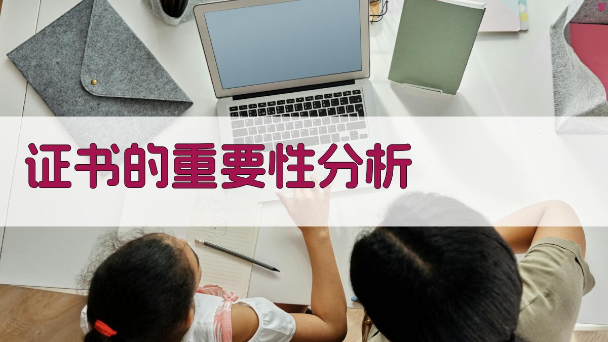 证书的重要性分析 图1