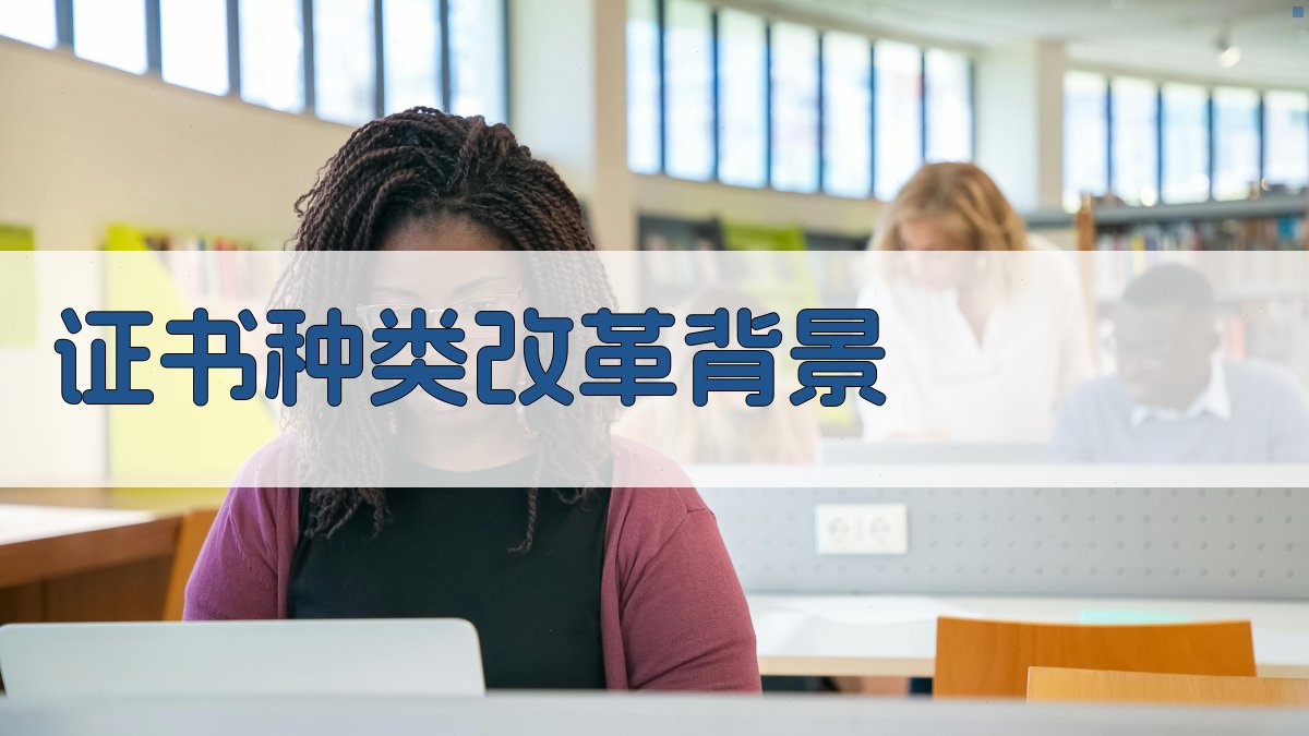 证书种类改革背景 图1