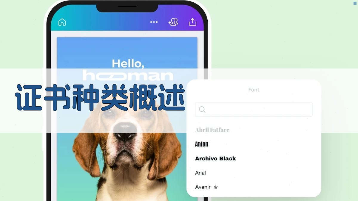 证书种类概述 图1