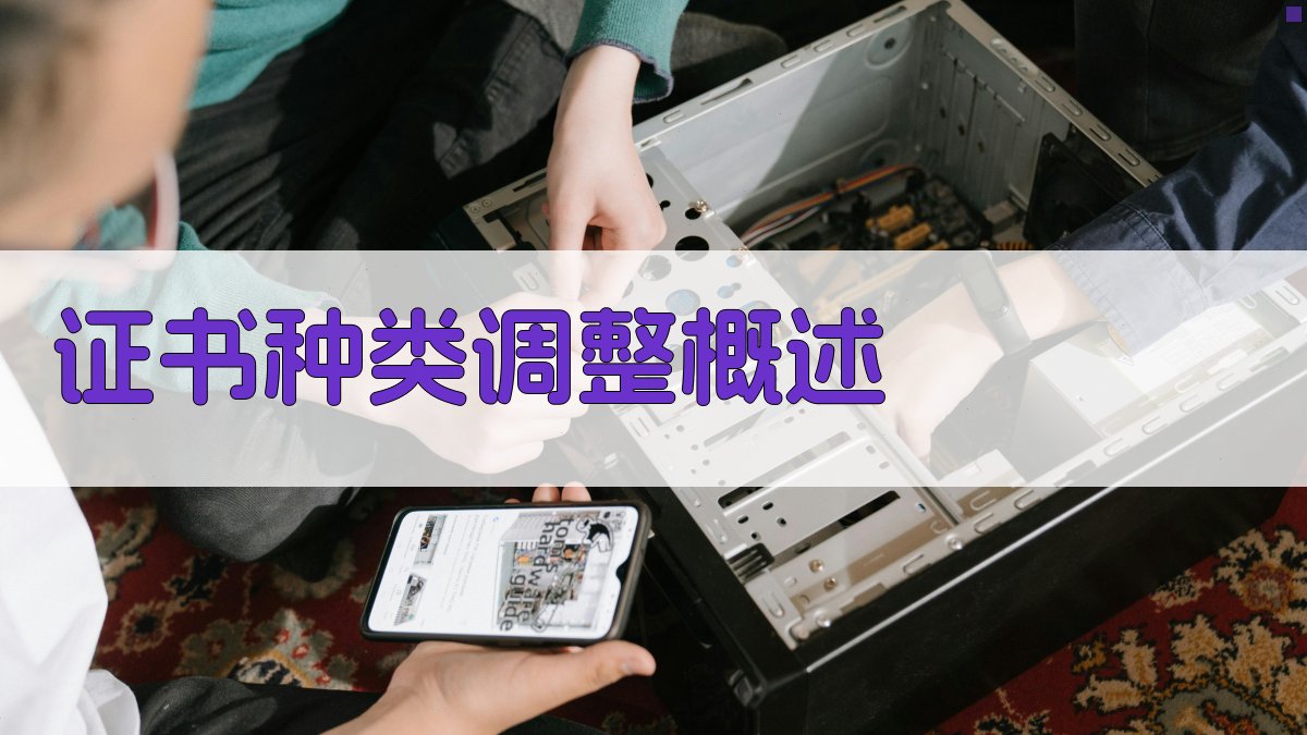 证书种类调整概述 图1