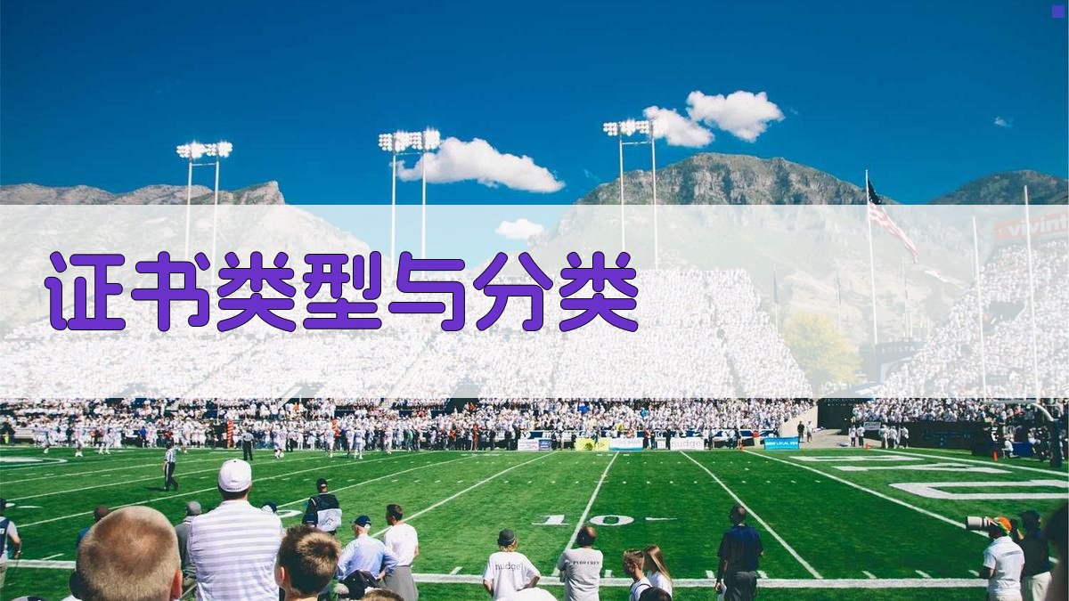 证书类型与分类 图2