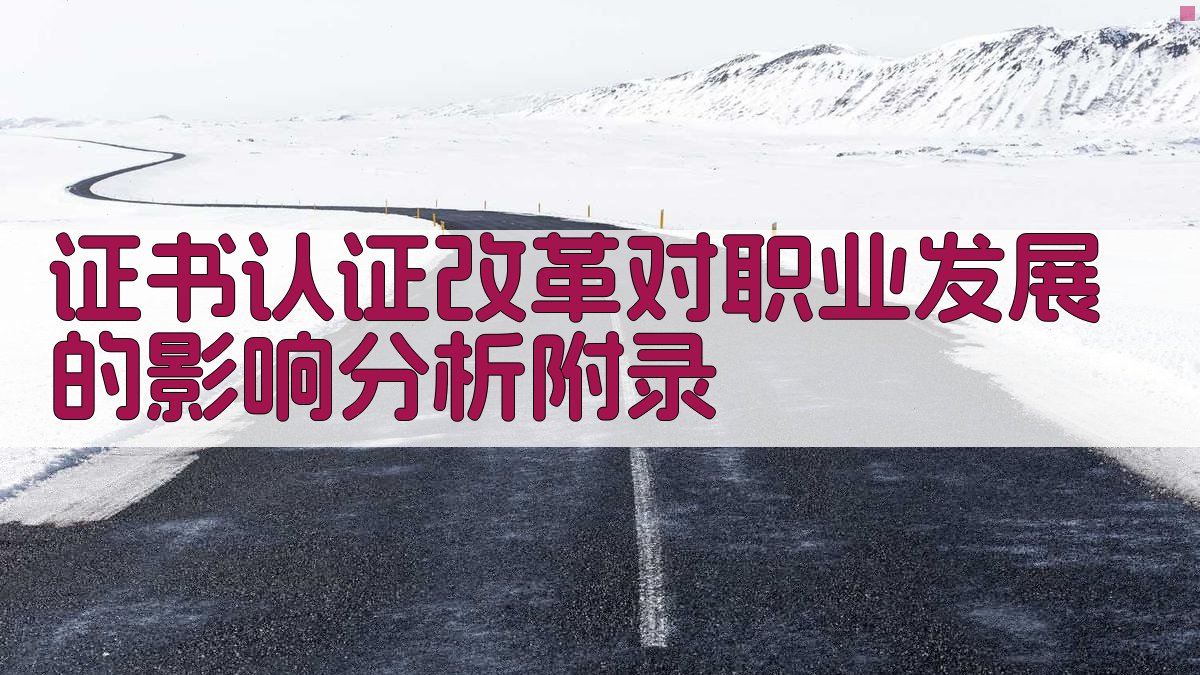 证书认证改革对职业发展的影响分析 · 附录 图4