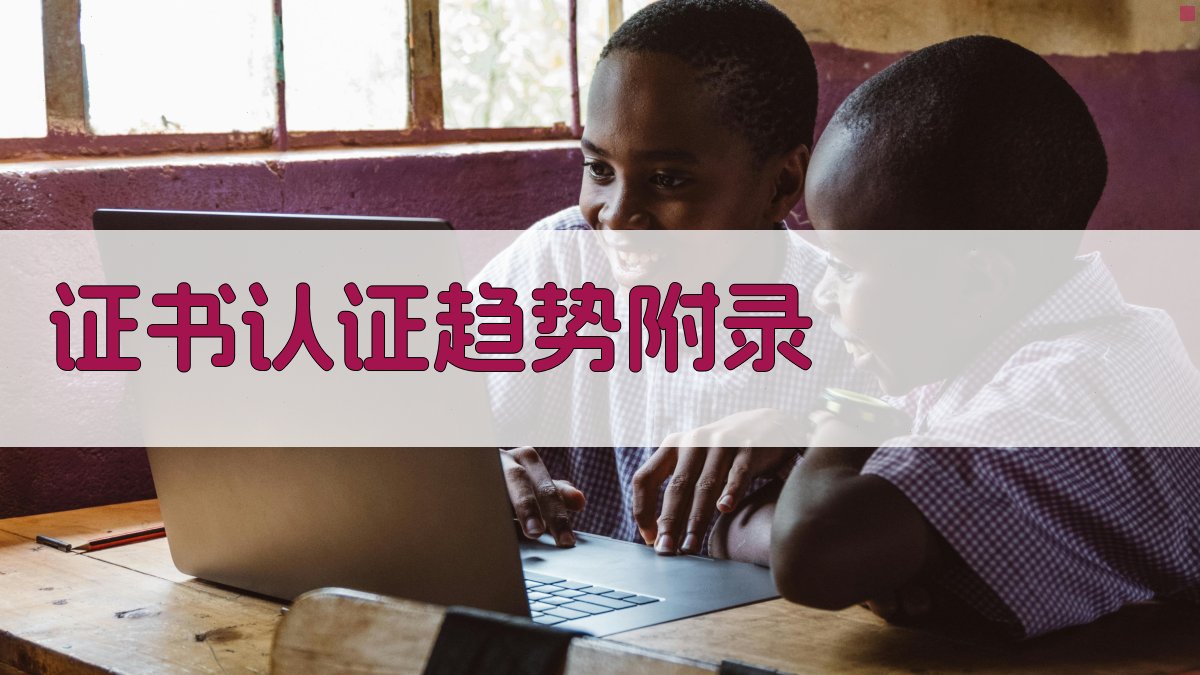 证书认证趋势 · 附录 图3