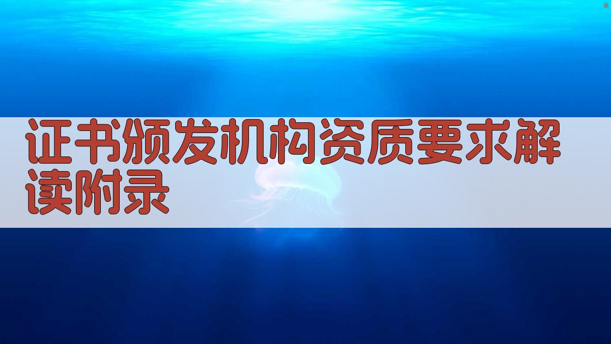 证书颁发机构资质要求解读 · 附录 图4